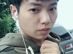 Bigcock214
