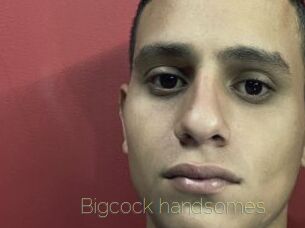 Bigcock_handsomes