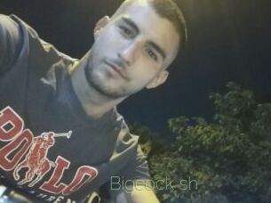 Bigcock_sh