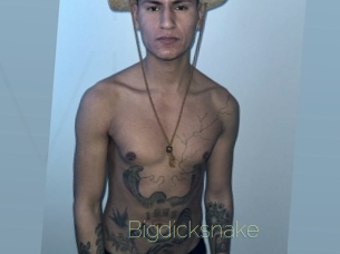 bigdicksnake Visio Tchats