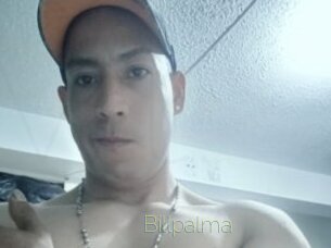 Billpalma