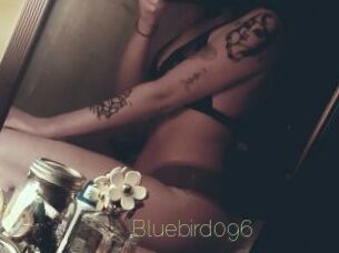 Bluebird096