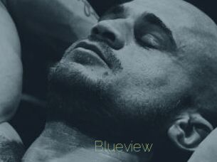 blueview Visio Tchats