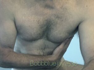 Bobbbluejay2530