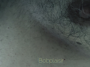 Bobplaisir