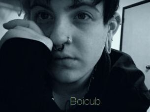 Boicub