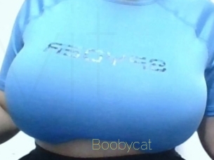 Boobycat