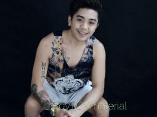 BoyTOYmaterial