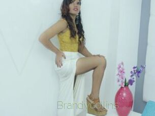 Brandycollins