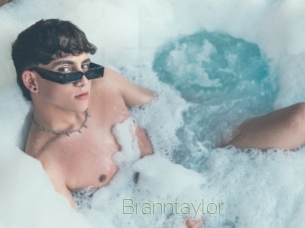branntaylor Visio Tchats