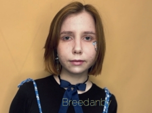 Breedanby