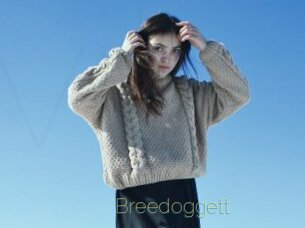 Breedoggett