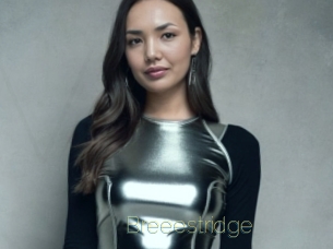 Breeestridge