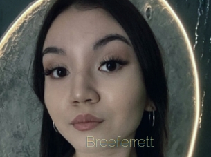 Breeferrett