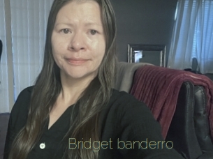 Bridget_banderro