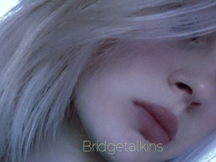 Bridgetalkins