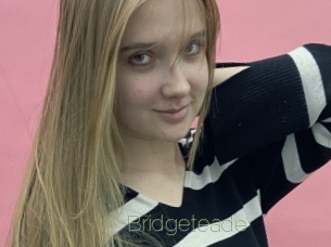 Bridgeteade