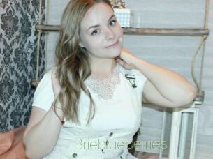 Brieblueberries