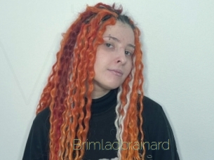 brimladbrainard Visio Tchats