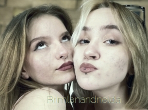 Brimlanandnelda