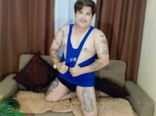 Brywonder