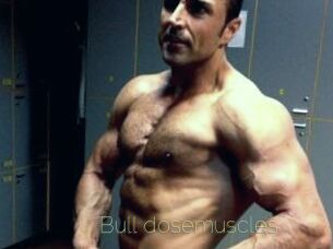 Bull_dosemuscles