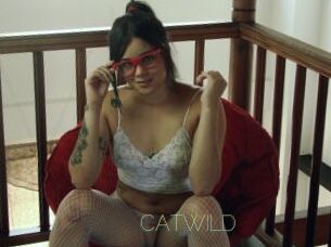 CATWILD Visio Tchats