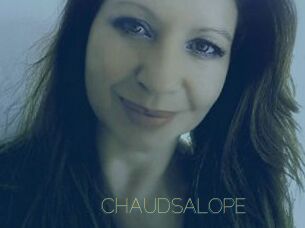 CHAUDSALOPE