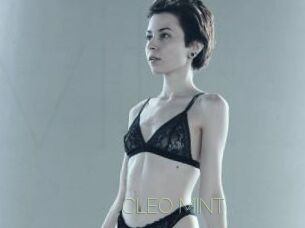 CLEO_MINT