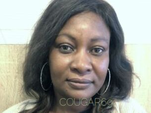 COUGAR69