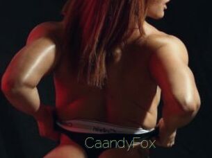 CaandyFox