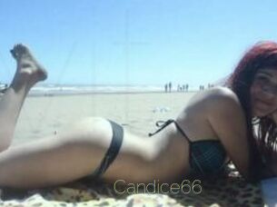 Candice66