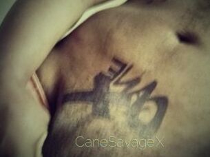 CaneSavageX Visio Tchats