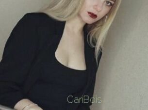 CariBois