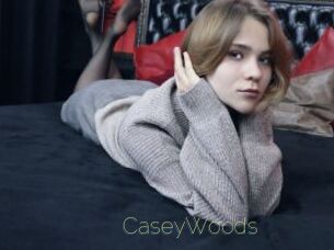 CaseyWoods Visio Tchats