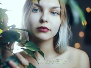 Casey_Brie Visio Tchats