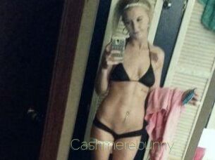 Cashmerebunny
