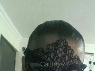 Cattleya_S
