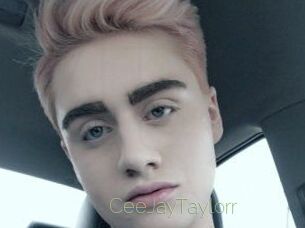CeeJayTaylorr