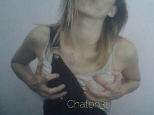 Chaton31