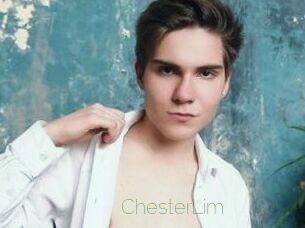 ChesterLim Visio Tchats
