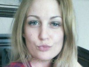 CinnamonTeal