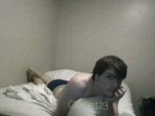 Codie123