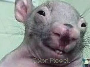 Colon_Plowell