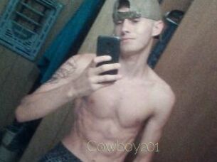 Cowboy201
