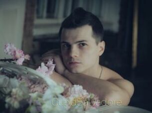 CupidSalvadore