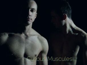 Curious_Muscules