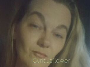 Curiousflower