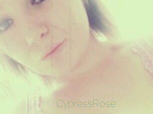Cypress_Rose