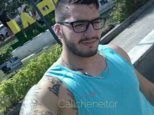 Calicheneitor